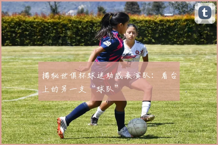 揭秘世俱杯球迷助威表演队：看台上的另一支“球队”