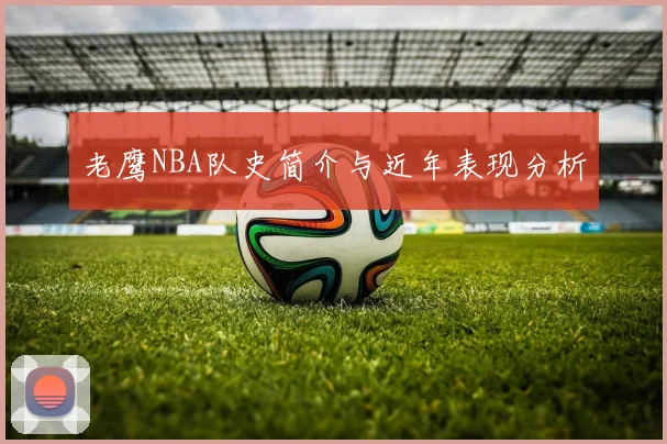 老鹰NBA队史简介与近年表现分析