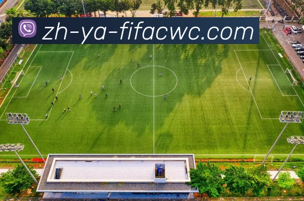 世界杯在线观看品牌故事