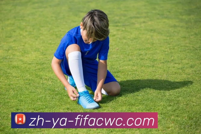 世界杯在线观看服务体系